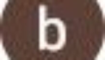 Avis de bob31