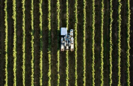 Qu&rsquo;est-ce que le Girardin industriel ?